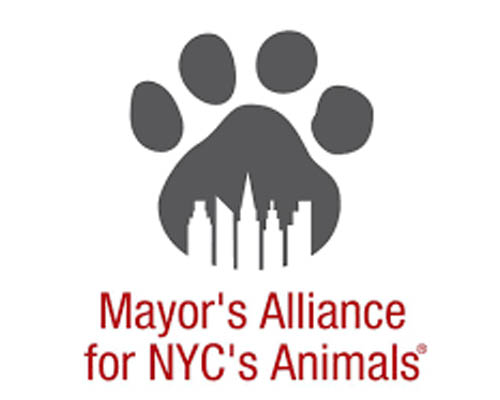 Mayors Alliance Logo